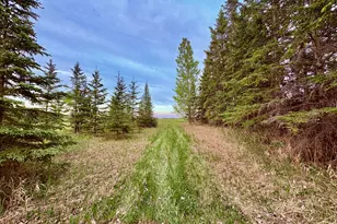 4325 94th Ave NW, Roosevelt, MN 56673 - Photo 41