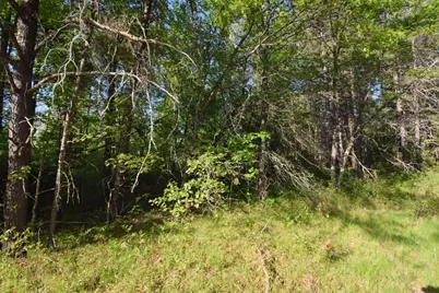 Lot 31 Setting Sun Trail Way, Danbury, WI 54830 - Photo 9