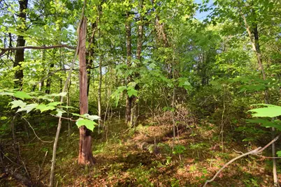 Lot 31 Setting Sun Trail Way, Danbury, WI 54830 - Photo 13