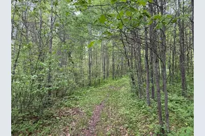 40781 County 2, Bagley, MN 56621 - Photo 11
