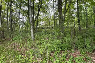 121 W Buffalo St, Duluth, MN 55811 - Photo 33