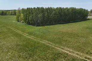 45964 Co Hwy 36, Frazee, MN 56544 - Photo 29