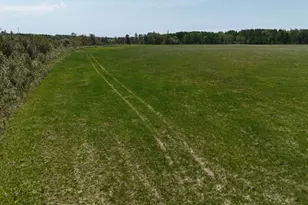 45964 Co Hwy 36, Frazee, MN 56544 - Photo 21