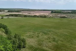 45964 Co Hwy 36, Frazee, MN 56544 - Photo 3