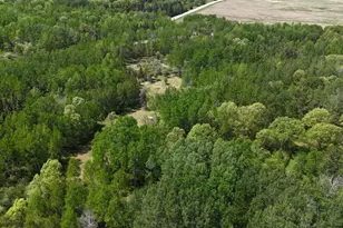 45964 Co Hwy 36, Frazee, MN 56544 - Photo 43