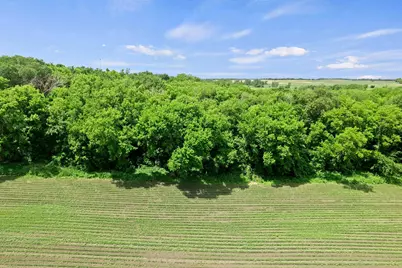 Tbd Dodd Road, Kilkenny, MN 56052 - Photo 19
