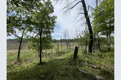 13384 Sorenson Lake Road, Merrifield, MN 56465 - Photo 35