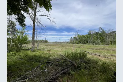 13384 Sorenson Lake Road, Merrifield, MN 56465 - Photo 25