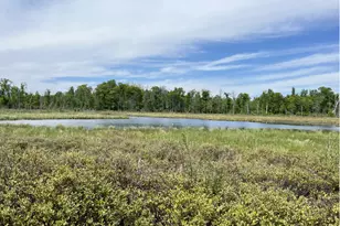 13384 Sorenson Lake Rd, Merrifield, MN 56465 - Photo 1