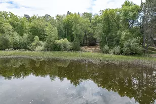 1847 Fern Trail NE, Remer, MN 56672 - Photo 3
