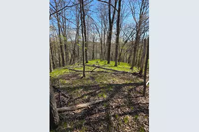 Xxx Wagon Trail Rd, Spring Valley, WI 54767 - Photo 5