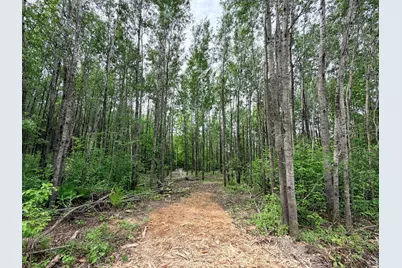 Tbd Half Moon Rd, Park Rapids, MN 56470 - Photo 9