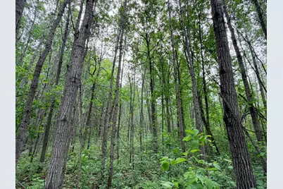 Tbd Half Moon Rd, Park Rapids, MN 56470 - Photo 7