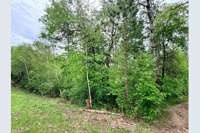 Tbd Half Moon Rd, Park Rapids, MN 56470 - Photo 11
