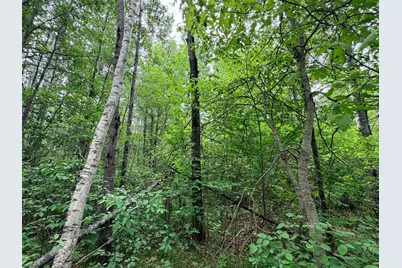 Tbd Half Moon Rd, Park Rapids, MN 56470 - Photo 5