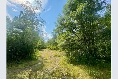 Tbd - 24.4 Ac County 4, Park Rapids, MN 56470 - Photo 11