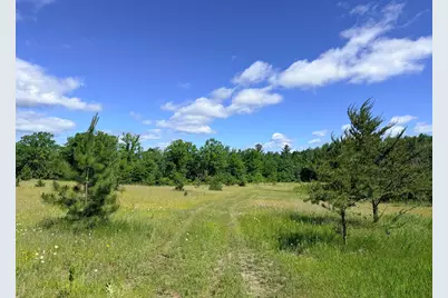Tbd - 24.4 Ac County 4, Park Rapids, MN 56470 - Photo 17