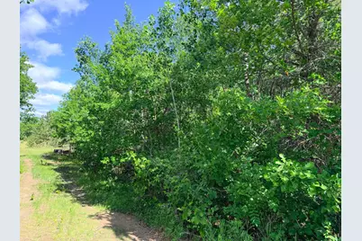 Tbd - 24.4 Ac County 4, Park Rapids, MN 56470 - Photo 23