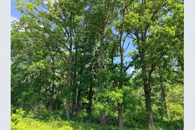 Tbd - 24.4 Ac County 4, Park Rapids, MN 56470 - Photo 11