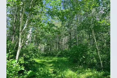 Tbd - 24.4 Ac County 4, Park Rapids, MN 56470 - Photo 9