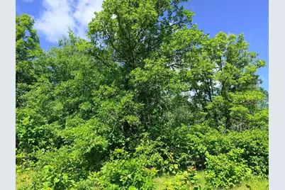 Tbd - 24.4 Ac County 4, Park Rapids, MN 56470 - Photo 17