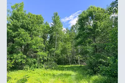 Tbd - 24.4 Ac County 4, Park Rapids, MN 56470 - Photo 15