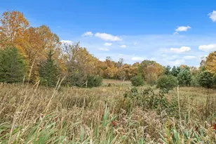 27421 Quinlan Ave, Lindstrom, MN 55045 - Photo 61