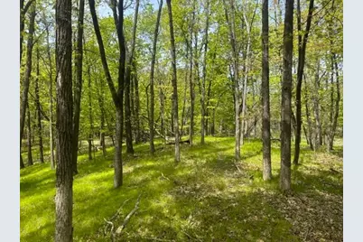 Tbd Maple View Court, Excelsior, MN 55331 - Photo 3