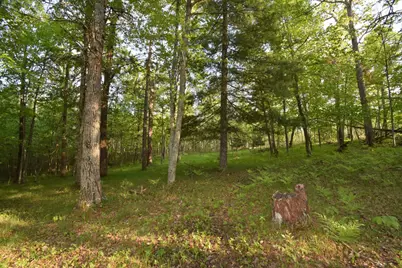 Lot 19 Aspen Hill Trailway, Webster, WI 54893 - Photo 7
