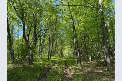 54003 Dollar Lake Road, Sandstone, MN 55072 - Photo 31