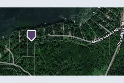 Tbd Muskie Bay Road NE, Longville, MN 56655 - Photo 13