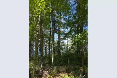Tbd Muskie Bay Road NE, Longville, MN 56655 - Photo 13