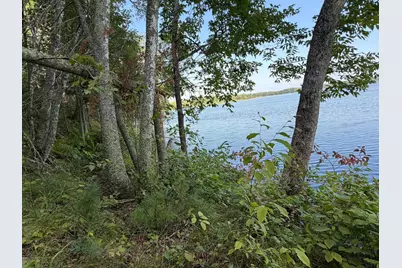 Tbd Muskie Bay Road NE, Longville, MN 56655 - Photo 7