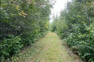 12157 Butternut Rd, Brainerd, MN 56401 - Photo 37