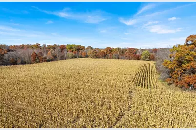 71Xxx 165th Avenue SE, Becker Township, MN 55308 - Photo 5