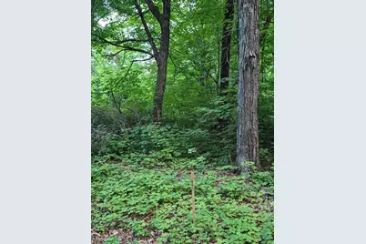 Tbd Lot 310 197th Ave, McGregor, MN 55760 - Photo 1