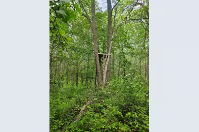 Parcel E Rogue Way, Ironton, MN 56455 - Photo 15