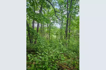 Parcel E Rogue Way, Ironton, MN 56455 - Photo 13