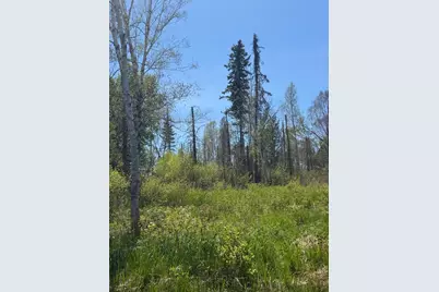 Tbd Crown Creek Spur Rd, Finland, MN 55603 - Photo 9