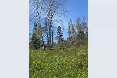 Tbd Crown Creek Spur Rd, Finland, MN 55603 - Photo 7