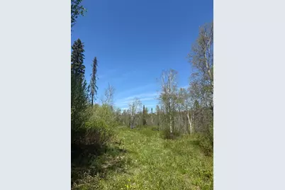 Tbd Crown Creek Spur Rd, Finland, MN 55603 - Photo 5