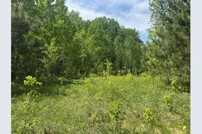 Tbd County Road 4, Cromwell, MN 55726 - Photo 9