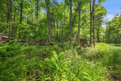 Lot 4 Csm 28/186, Radisson, WI 54867 - Photo 15