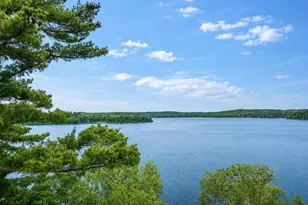 17344 Pitch Pine Ln, Fifty Lakes, MN 56448 - Photo 25
