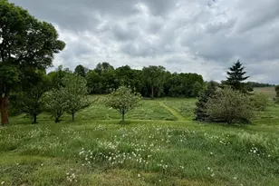 35715 260th Ave, Erhard, MN 56534 - Photo 55