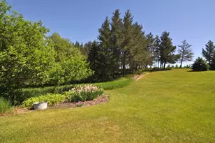 33386 State 34, Akeley, MN 56433 - Photo 49