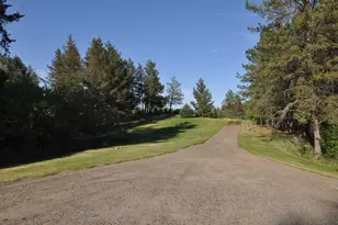 33386 State 34, Akeley, MN 56433 - Photo 29