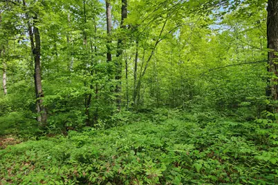 Tbd Crooked Lake Twp, Outing, MN 56662 - Photo 7