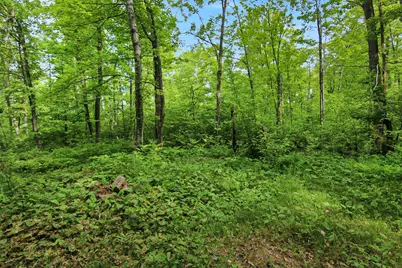 Tbd Crooked Lake Twp, Outing, MN 56662 - Photo 5