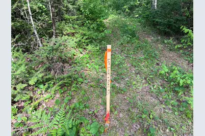 Lot 1 Smith Road N, Couderay, WI 54828 - Photo 23